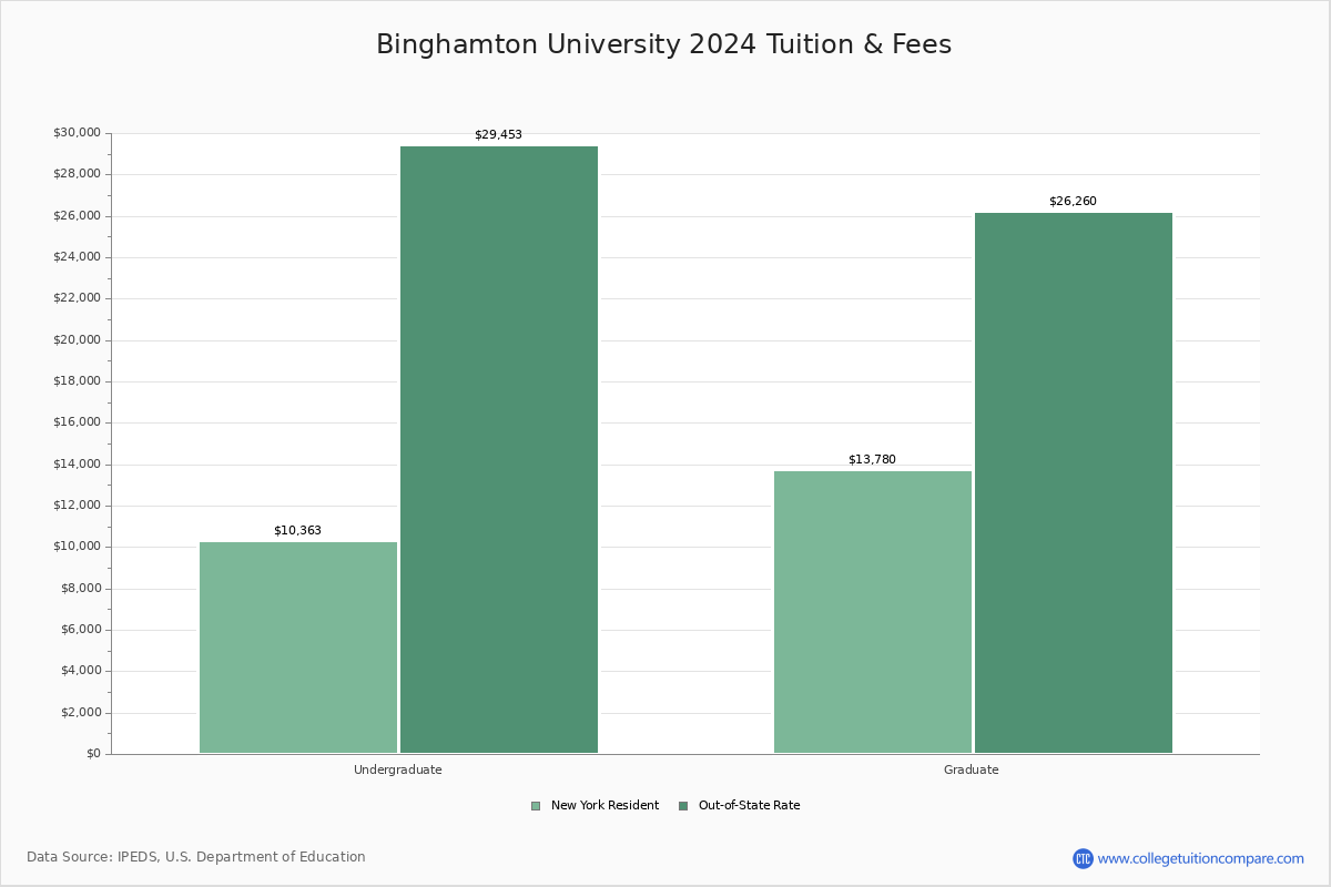 Binghamton University Academic Overview